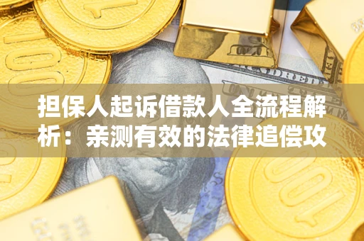济南担保人起诉借款人全流程解析：亲测有效的法律追偿攻略