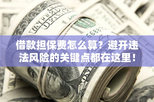 济南借款担保费怎么算？避开违法风险的关键点都在这里！
