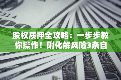 济南股权质押全攻略：一步步教你操作！附化解风险3条自救法则