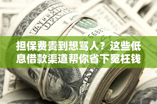 济南担保费贵到想骂人？这些低息借款渠道帮你省下冤枉钱
