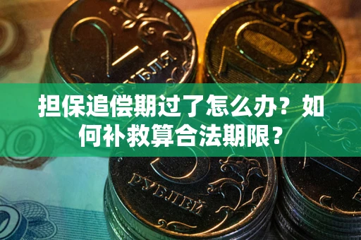 济南担保追偿期过了怎么办？如何补救算合法期限？