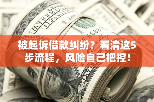 济南被起诉借款纠纷？看清这5步流程，风险自己把控！